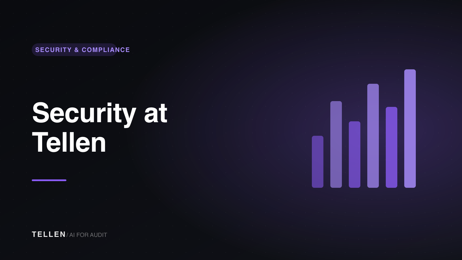 Thumbnail for Security at Tellen
